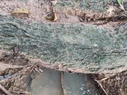 10 DIS. 2024 PROGRAM GOTONG ROYONG KUARTERS HKJG